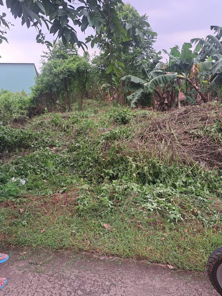 Đất nền khu phố 6 Vĩnh An 550m² giá 700 triệu - Đầu tư sinh lời ngay!