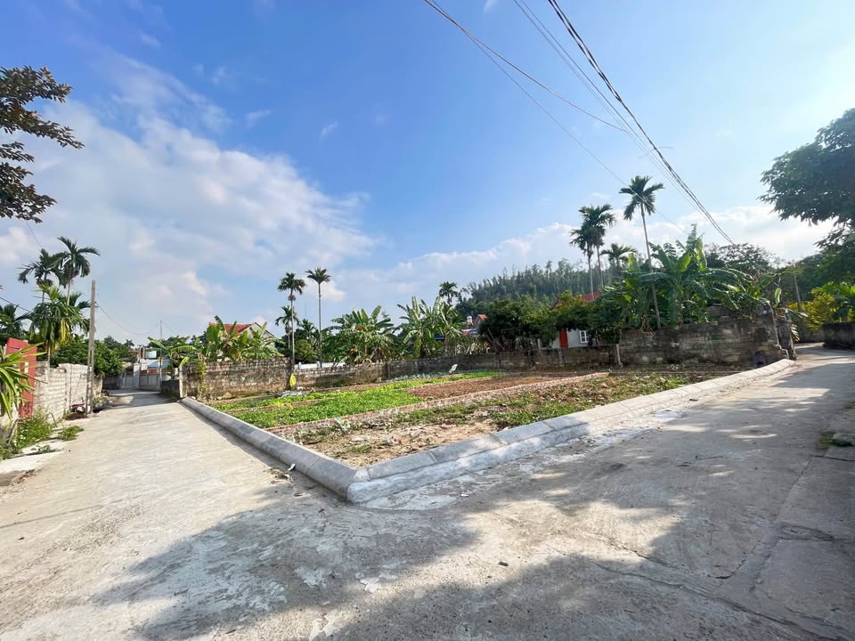 Đất Lưu Kiếm Thủy Nguyên 66.8m² - Giá Đầu Tư Hấp Dẫn!