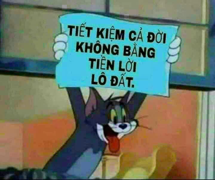 Đất nền Nguyễn Văn Quá, Quận 12, 265.6m² giá 12.5 tỷ - Đầu tư sinh lời ngay!