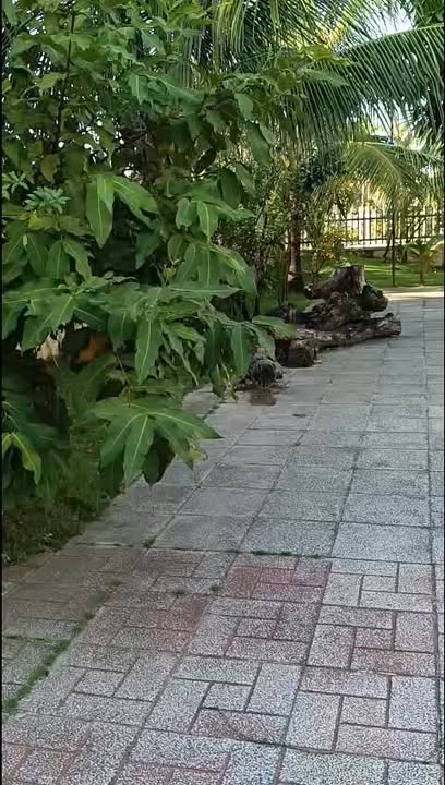 Nhà cho thuê tại Phú Quốc 2 phòng ngủ - Đầy đủ nội thất tiện nghi!