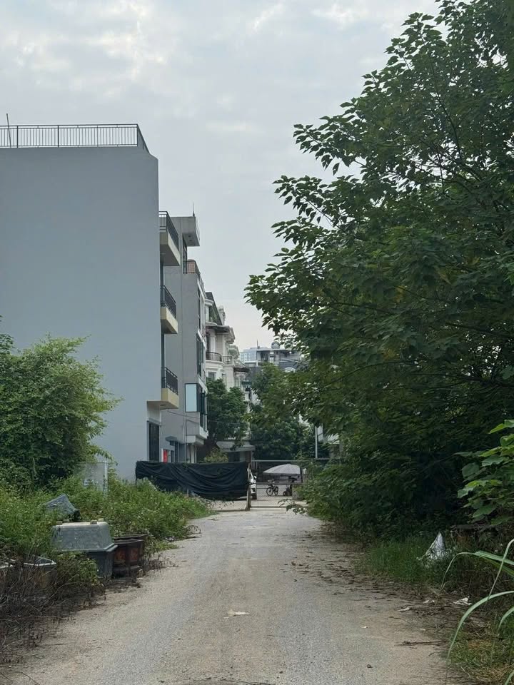 Đất dịch vụ 50m² Trôi, Hoài Đức - Mặt tiền 5.8m, giá 8 tỷ - Khu phân lô vỉa hè ô tô tránh!