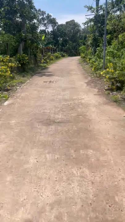 Đất nông nghiệp 3.1ha tại Xuân Hiệp, Xuân Lộc - Giá 5.67 tỷ, cơ hội đầu tư hấp dẫn!