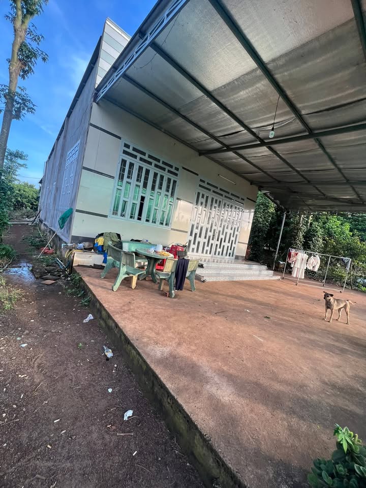 Đất nền ấp 8 Xuân Tây 3100m² giá chỉ 550 triệu - Cơ hội đầu tư tuyệt vời!