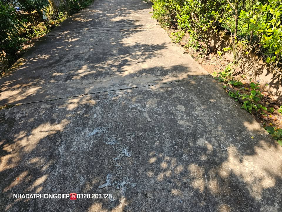 Đất thổ cư 300m² tại Sơn Định, Chợ Lách giá 780 triệu - Đầu tư lý tưởng!