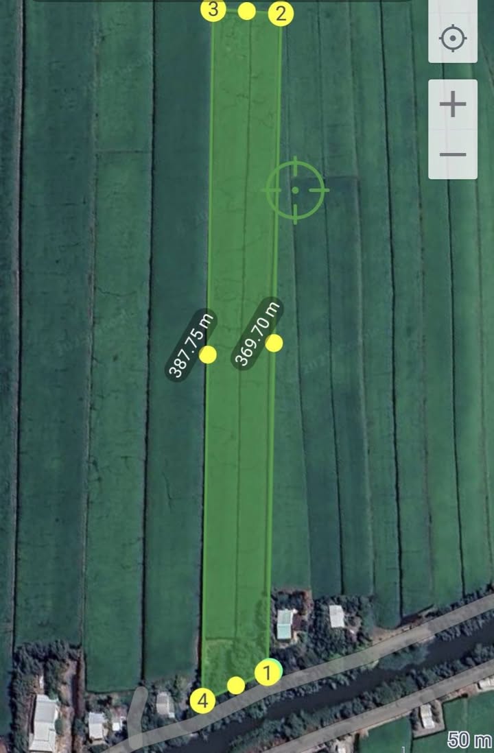 Đất nền 11 công tại Nhơn Hòa, Tân Thạnh - Giá chỉ 170 triệu/công!