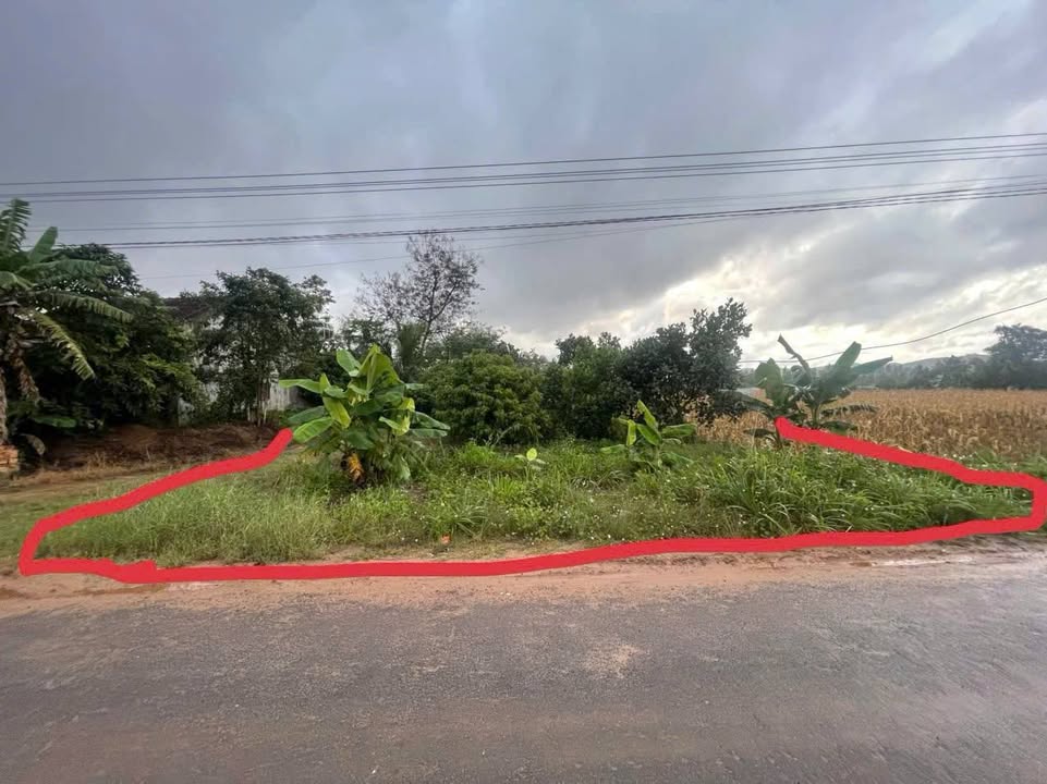 Đất nền Cư Prông 2700m² giá 500 triệu - Sổ đỏ chính chủ!