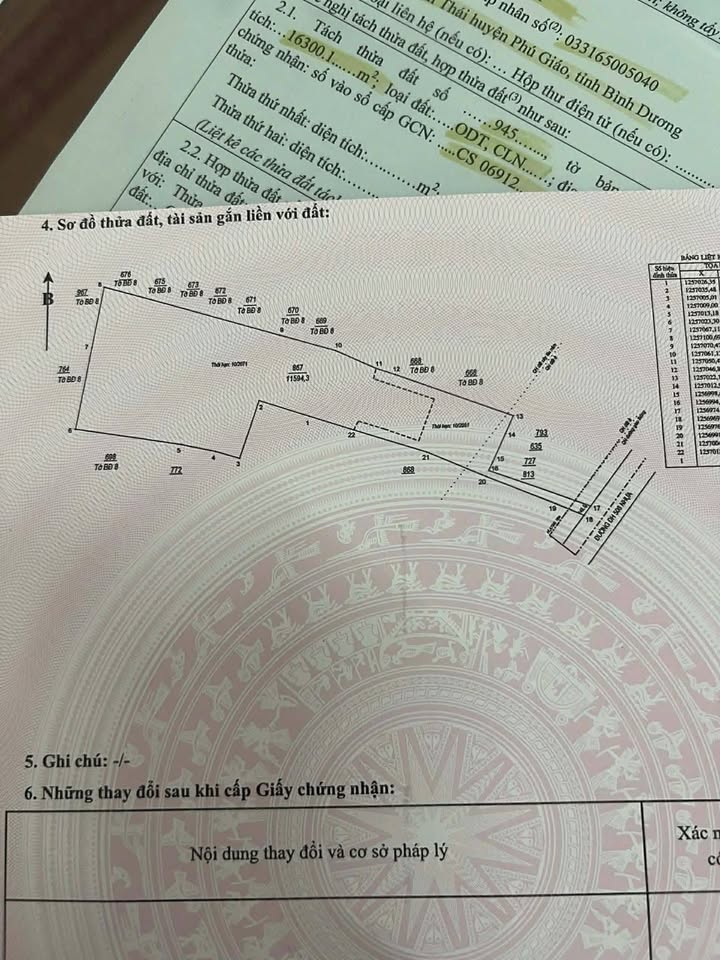 Đất nền 1ha ĐH 508 Phước Sang giá 6.3 tỷ - Phù hợp làm kho, xưởng