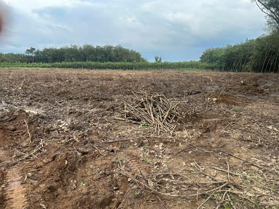 Đất Phước Hòa, Phú Giáo 1700m² giá 6.2 tỷ - Đầu tư sinh lời lý tưởng!