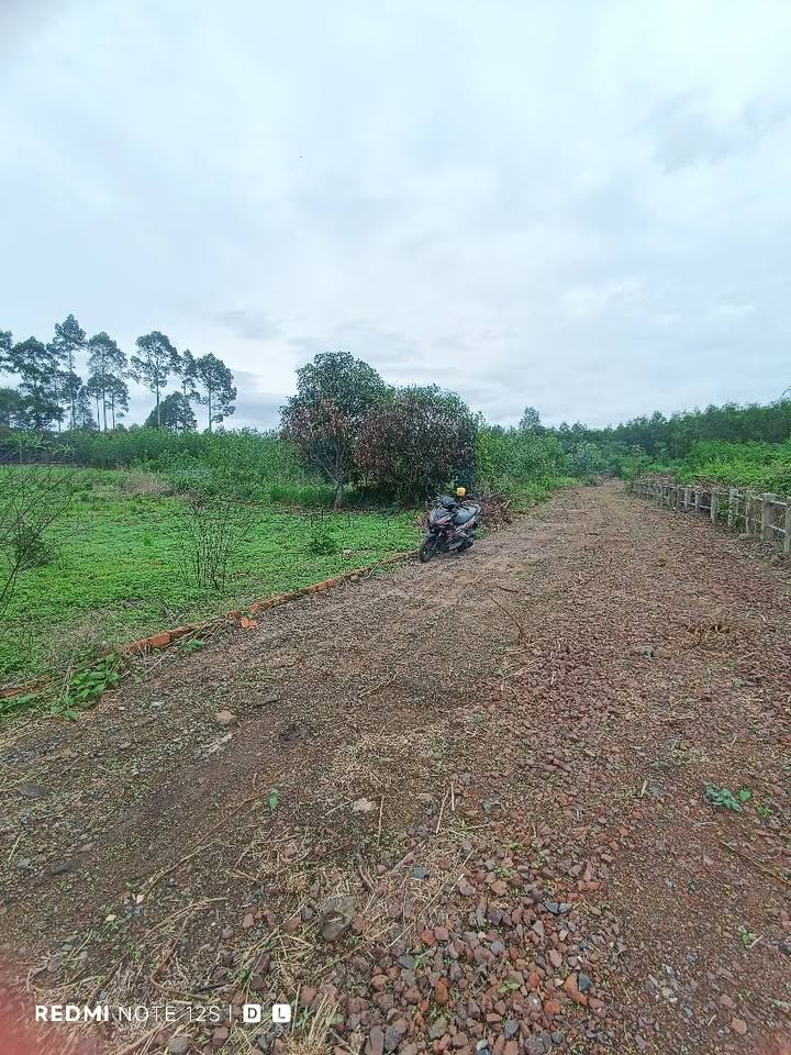 Đất nền Dầu Giây 1360m² giá 700 triệu - Đường ô tô tới nơi!