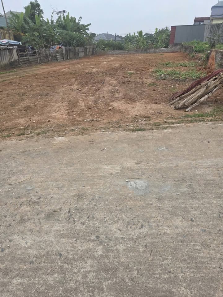 Đất thổ cư Kim Anh, Sóc Sơn 117m² giá 2 tỷ - Đường ô tô vào tận nơi!