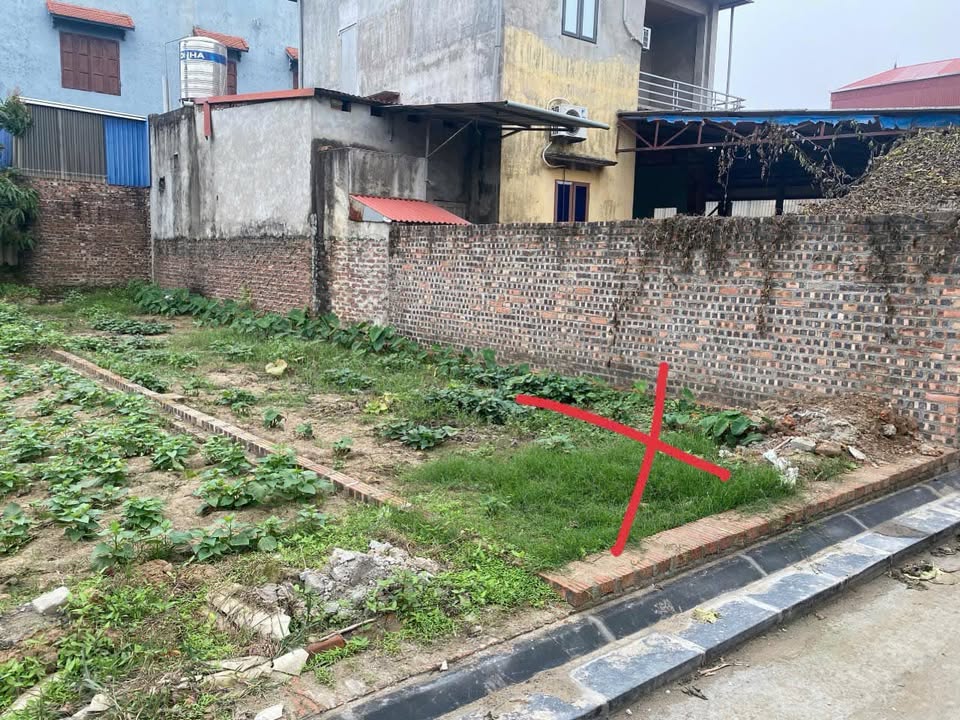 Đất nền 60m² Đình Trung, Xuân Nộn, Đông Anh chỉ 6 triệu/m² - Vị trí giao thông thuận lợi!