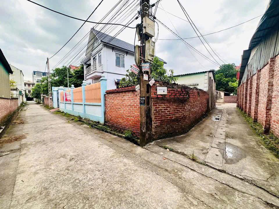 Đất thổ cư Thôn Sơn Du, Nguyên Khê, Đông Anh 66m² giá 4.092 tỷ - Vị trí đẹp, dễ thiết kế!