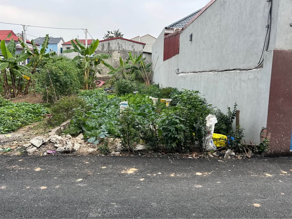 Đất nền Tân Dân, Sóc Sơn 96m² giá 2 tỷ - Đầu tư sinh lời hấp dẫn!