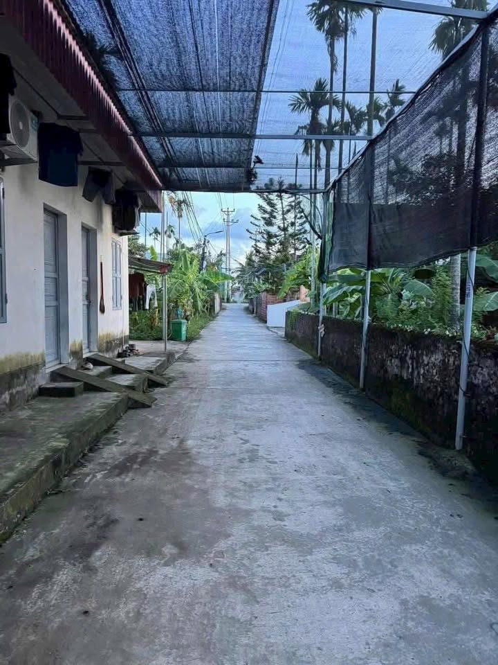 Đất thổ cư Thôn 3, Thiên Hương 100m² giá 2 tỷ - Đường rộng, dân cư đông đúc!