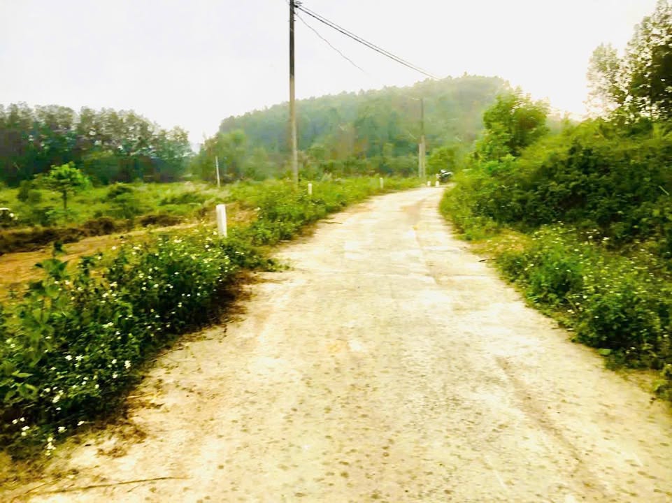 Đất nền Khánh Nam, Khánh Vĩnh 1000m² giá 350 triệu - Đầu tư sinh lời ngay!