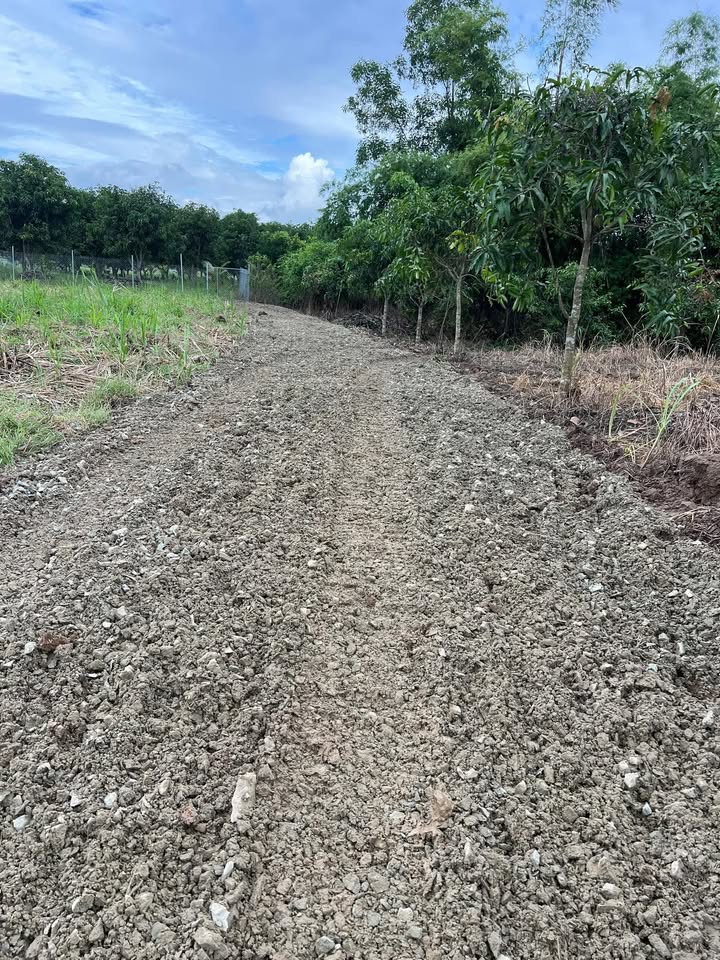 Đất Diên Lâm Diên Khánh 500m² giá chỉ 120 triệu - Cơ hội đầu tư tuyệt vời!