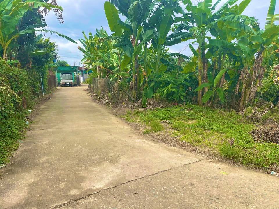 Đất Diên Lạc 220m² giá 1.7 tỷ - Sổ đỏ chính chủ, đầu tư sinh lời!