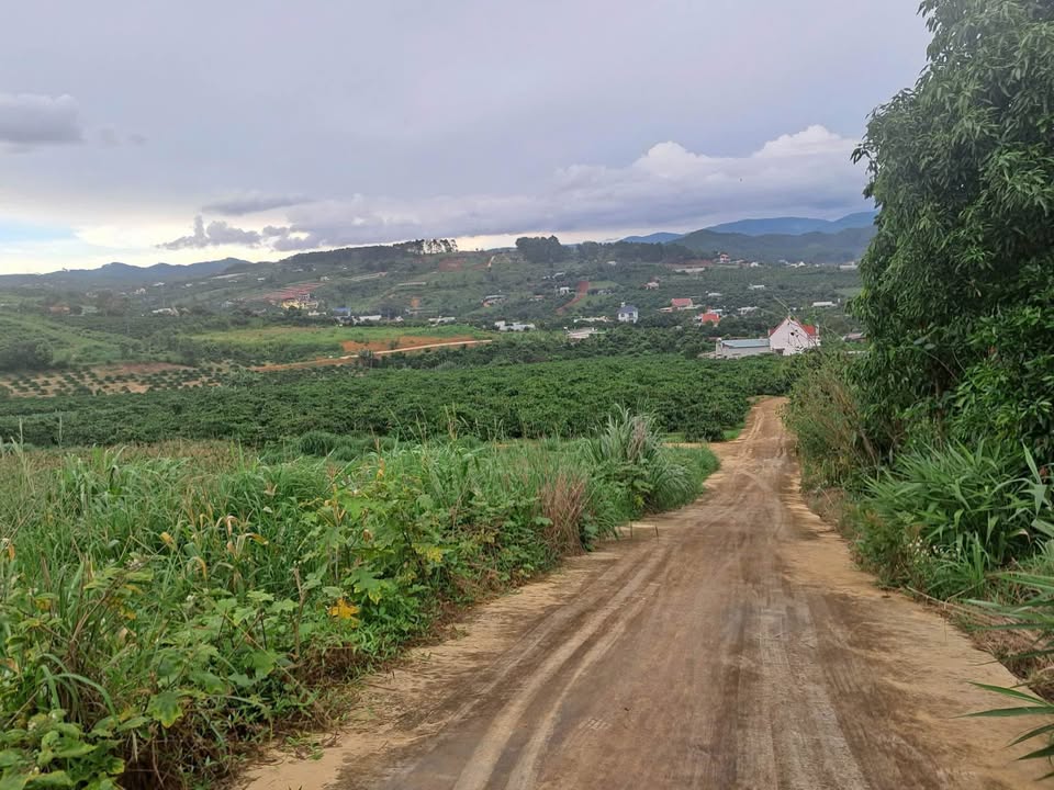 Đất nền Nam Ban Lâm Hà 500m² giá 1.35 tỷ - View ôm trọn núi rừng