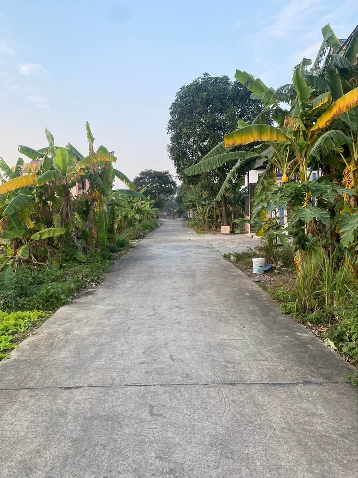 Đất nền Ninh An 135m² giá 3.24 tỷ - Khu dân cư an ninh tốt!