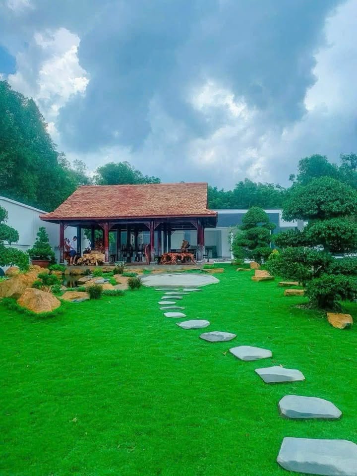 FrontHouse mặt tiền Huỳnh Văn Lũy 590m² giá 7.045 tỷ - Đang cho thuê 25 triệu/tháng!