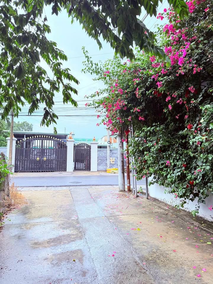 Đất nền Phú Mỹ Thủ Dầu Một 525m² giá 2.35 tỷ - Đầu tư sinh lời ngay!