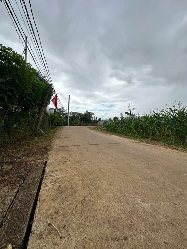 Đất nền xã Ea Hu, huyện Cư Kuin, 100m² giá 199 triệu - Phong thủy đẹp, đầu tư sinh lời!