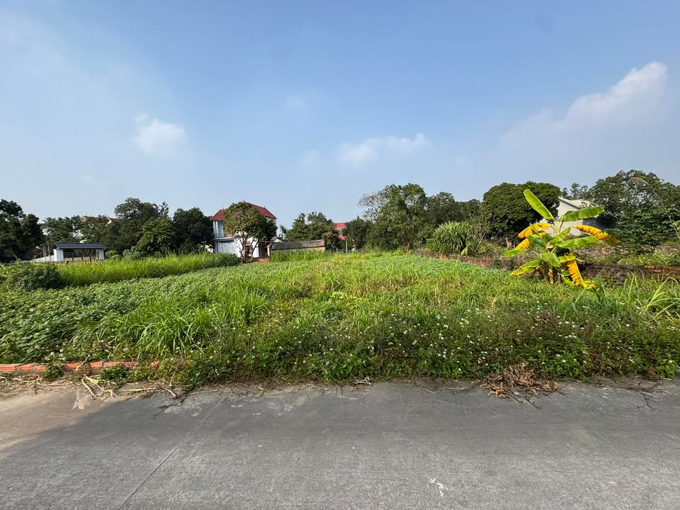 Đất nền Kim Anh - Sóc Sơn 116m² giá 1.16 tỷ - Mặt tiền rộng ô tô đỗ cửa!