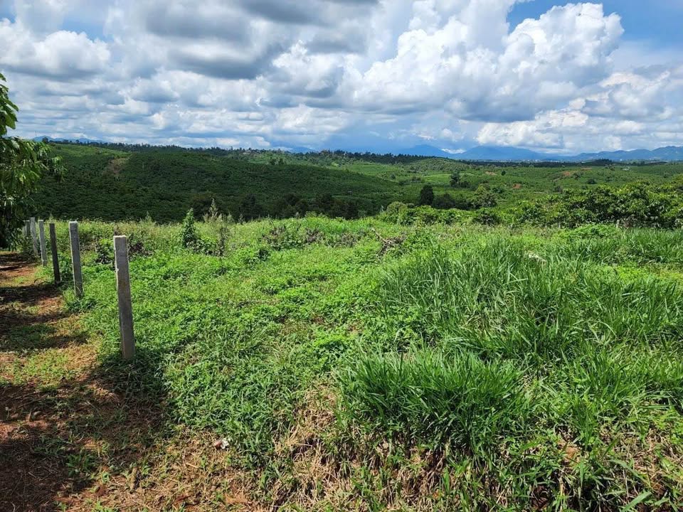 Đất Lộc An Bảo Lâm 2600m² giá 2.15 tỷ - Đường nhựa ô tô vào tận nơi!