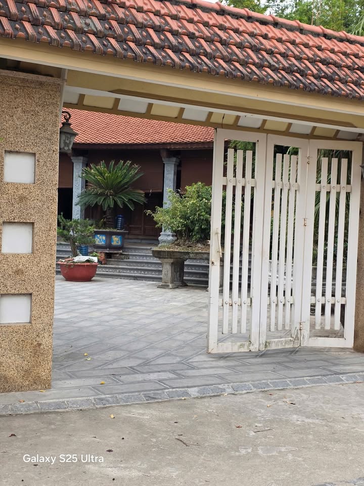 Đất liền kề Trần Xá, Văn Cẩm, Hưng Hà 302m² - Cơ hội đầu tư sinh lời!