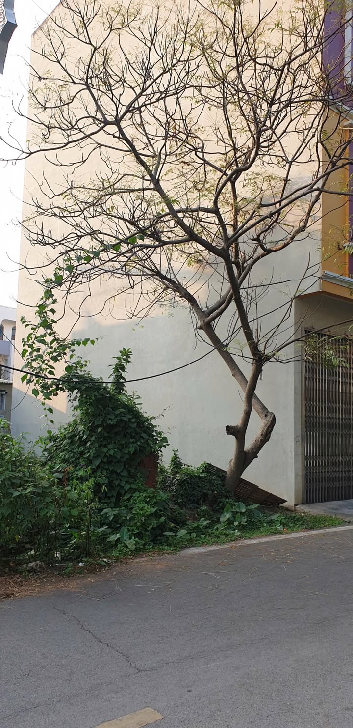 Đất nền góc phường Xuân Khanh, Sơn Tây, 50m² giá 2 tỷ - Cần bán gấp!