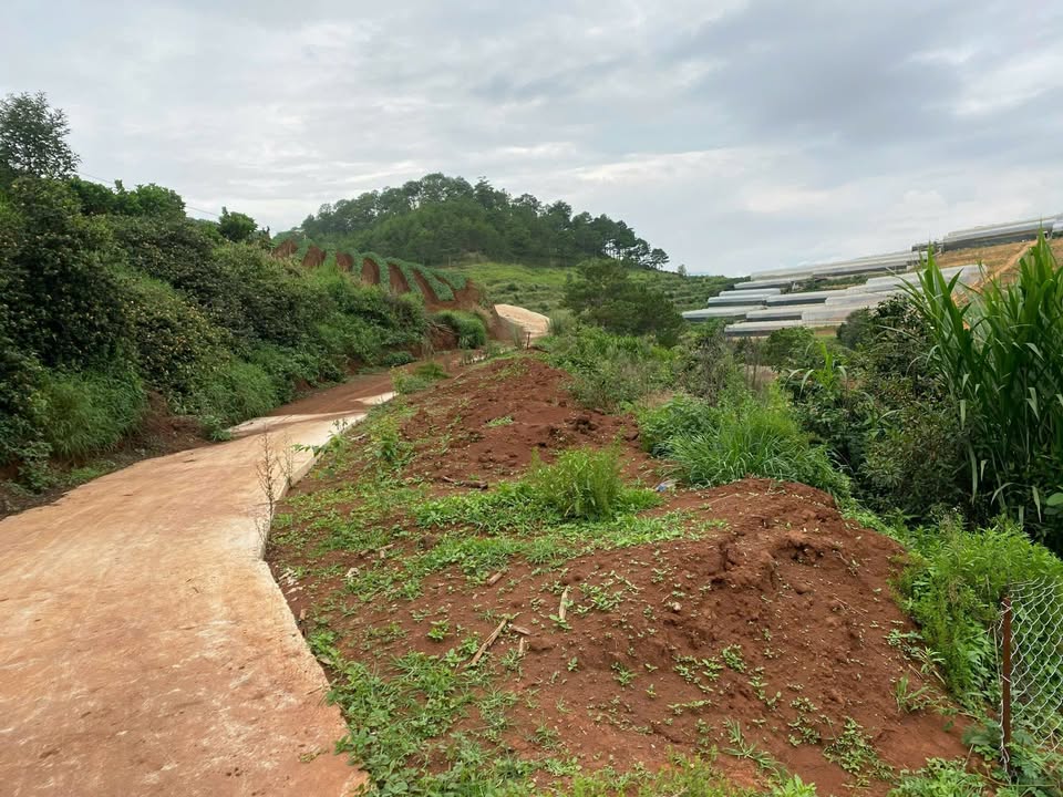 Lô đất đẹp 1120m² tại Đà Quý, Xuân Thọ - Giá 2.953 tỷ - Cơ hội đầu tư sinh lời!