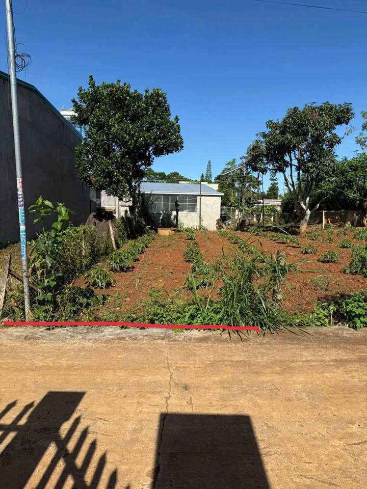 Đất nền Hiệp Thạnh, Đức Trọng 147m² giá 1.2 tỷ - Cơ hội đầu tư không thể bỏ qua!