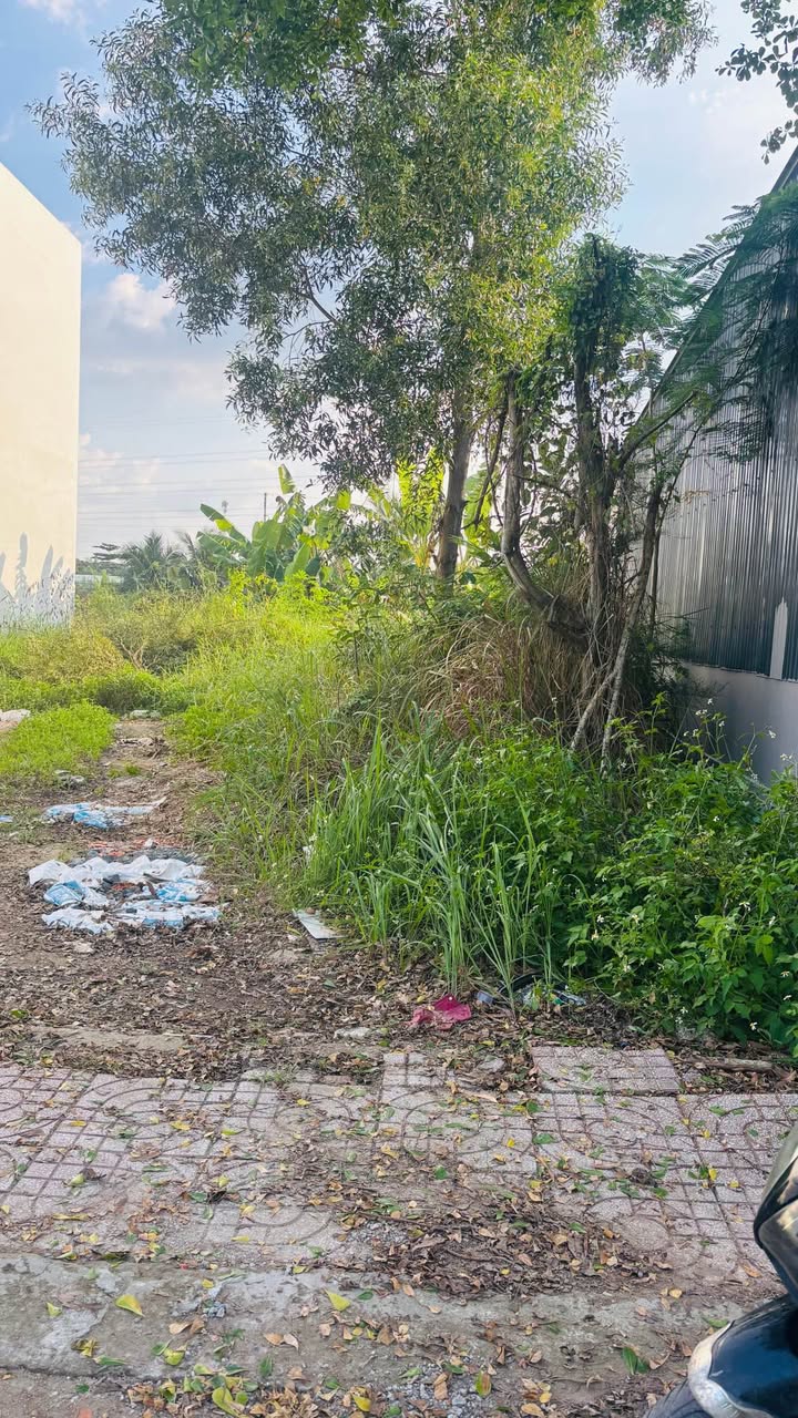 Đất nền Vĩnh Long 117m² giá 1.55 tỷ - Sổ đỏ chính chủ, thương lượng