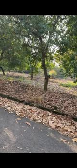 Đất nền Hưng Thịnh, Trảng Bom 1248m² giá 3.4 tỷ - Sổ đỏ chính chủ, thương lượng!