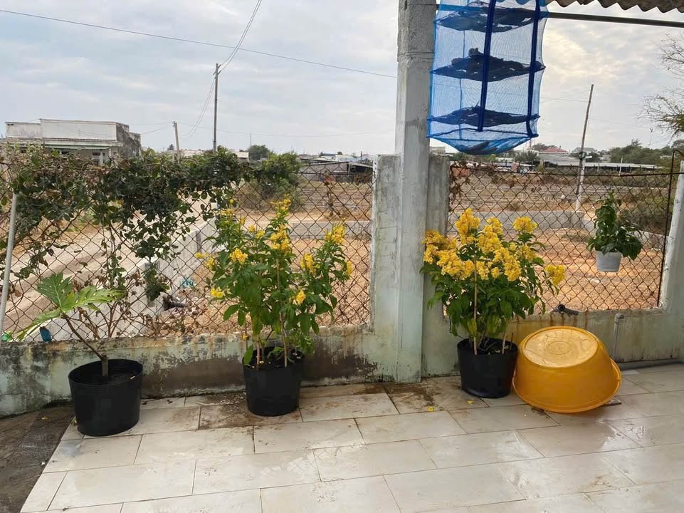 Nhà cấp 4 Mũi Né, Phan Thiết 100m² giá 1.6 tỷ - Đường xe hơi thuận tiện!