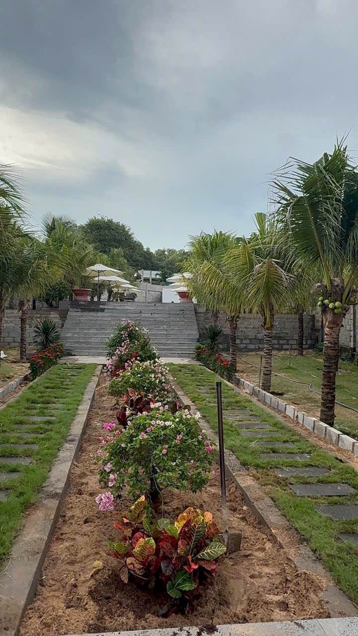 Đất nền ven biển Tiến Thành 1167m² giá 17 tỷ - View biển tuyệt đẹp!