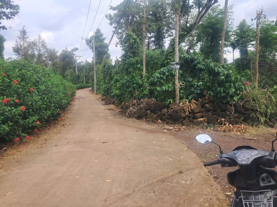 Đất nền 3600m² mặt tiền đường Lương Thế Vinh, Long Khánh chỉ 1.3 tỷ - Cơ hội đầu tư vàng!