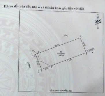 Đất nền Nghi Ân Vinh 300m² giá 3.6 tỷ - Lô góc 2 mặt tiền nhựa