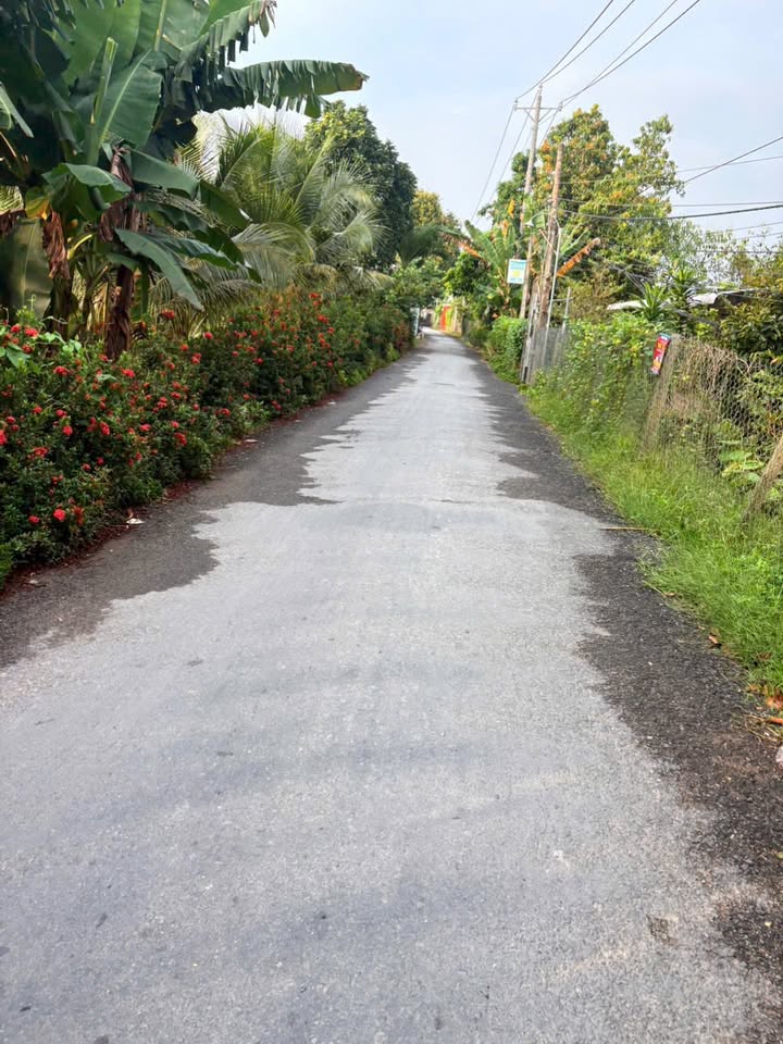 Đất nền Đốc Binh Kiều Đồng Tháp 1000m² giá 450 triệu - Cơ hội đầu tư sinh lời!