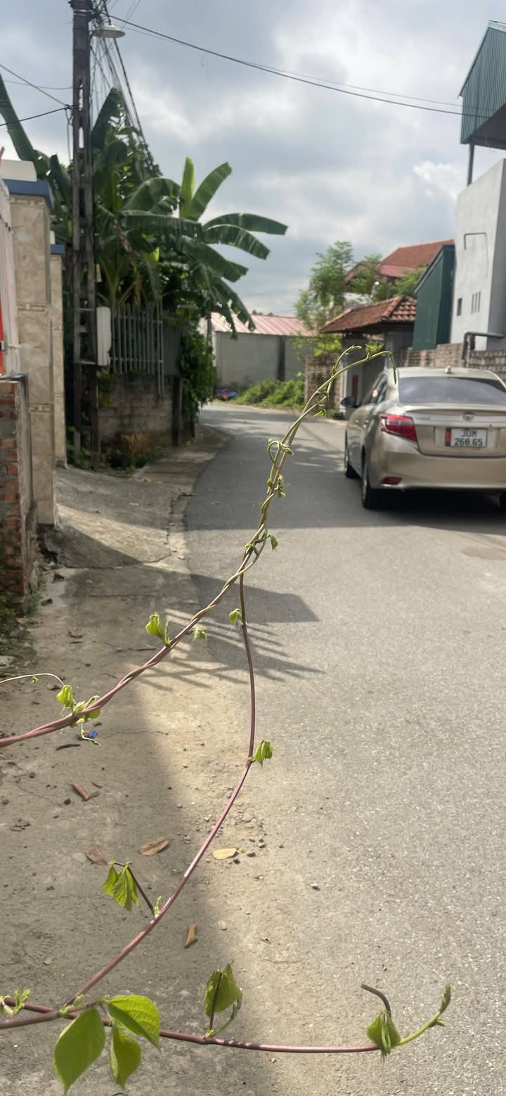 Lô đất đẹp thôn Đồng Giãng, Phúc Yên 118m² giá 1.6 tỷ - Đầu tư sinh lời tốt!