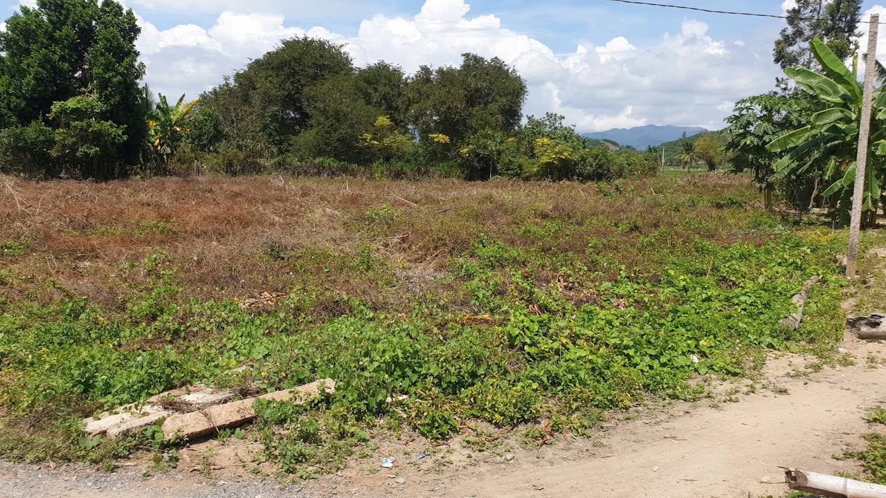 Đất nền Hòa Thiện 1, Bắc Ninh Hòa 2303m² - Ô tô vào tận nơi chỉ 1 tỷ!