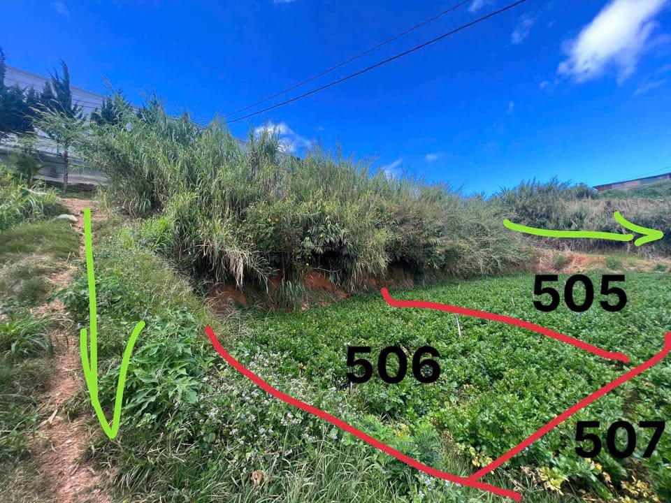 Đất nền P7 Đà Lạt 1.653m² giá 14 tỷ - Cơ hội đầu tư hiếm có!