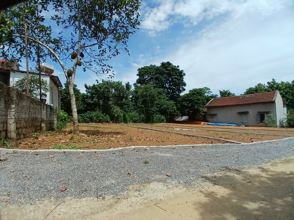 Đất phân lô xã Thành Mỹ, Thạch Thành 143m² giá 300 triệu - Sổ đỏ chính chủ, công chứng trong ngày!