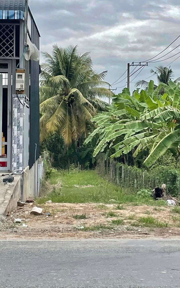 Đất nền Long An 292.5m² giá 800 triệu - Sổ hồng chính chủ, công chứng ngay!