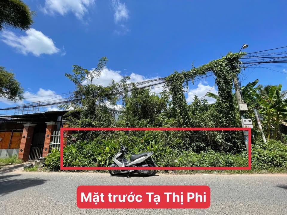 Đất mặt tiền Tạ Thị Phi, quận Bình Thủy, 280m² giá 6.3 tỷ - Cơ hội đầu tư hiếm có!