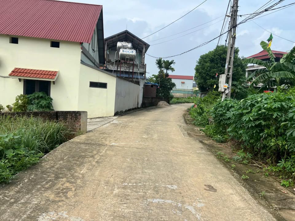 Siêu phẩm Farm tại Phú Cát, Quốc Oai 590m² giá 5.9 tỷ - Cơ hội đầu tư hiếm có!