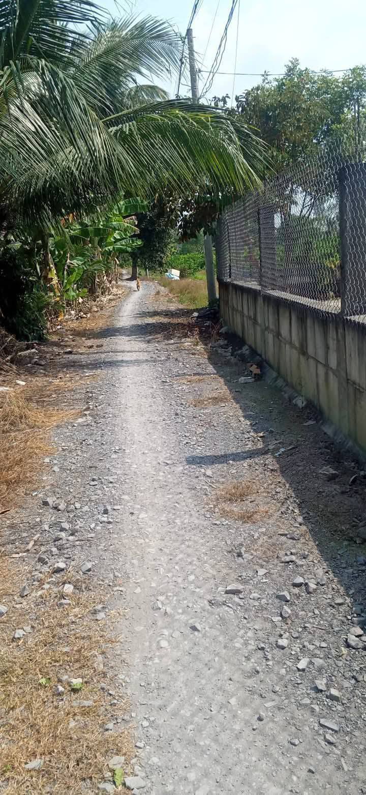 Đất vườn 805m² xã Thạnh Lợi, Tây Ninh giá 800 triệu - Đầu tư lý tưởng cho nhà vườn