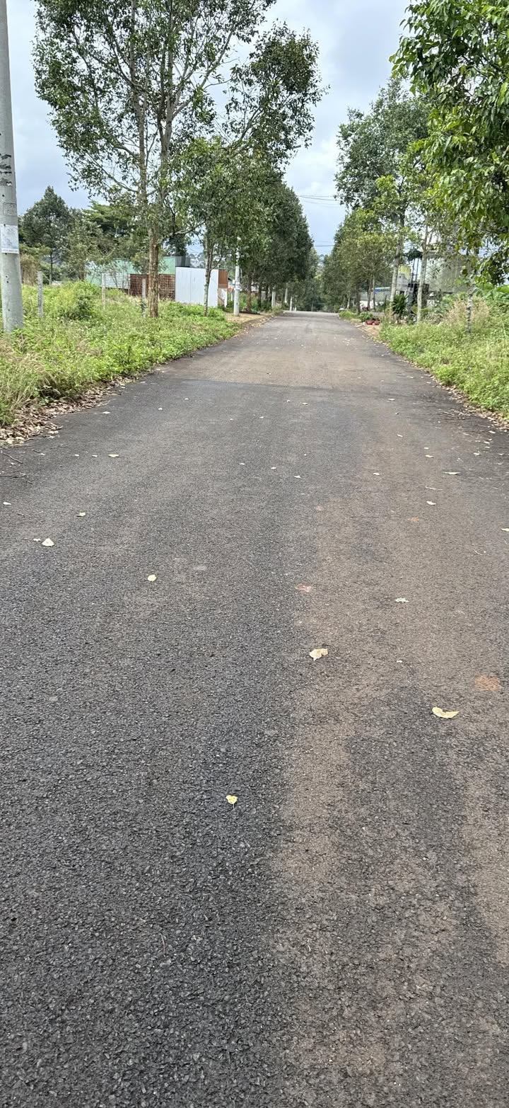 Đất nền dự án Plama Buôn Hồ 126m² giá 1.79 tỷ - Đầu tư sinh lời cao!