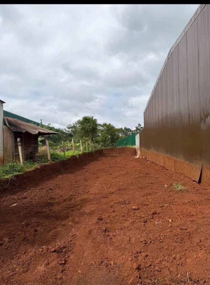 Nhà mặt tiền đường Hàm Nghi Buôn Hồ 588m² giá 2.39 tỷ - Cơ hội đầu tư tuyệt vời!