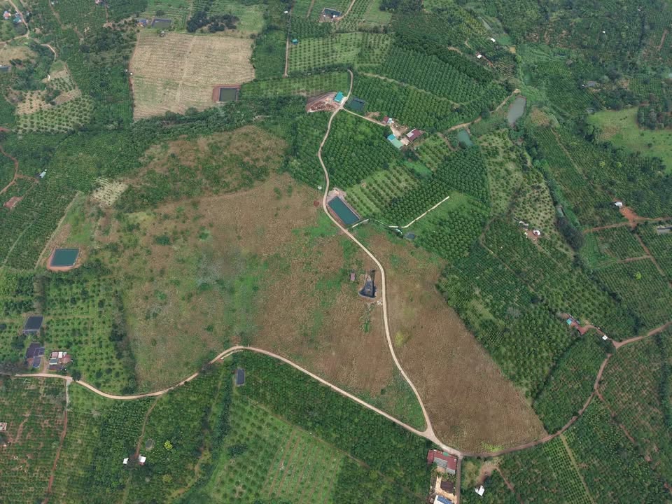 Đất trống 8,9ha tại Ea Sin, Krông Búk giá 14.999 tỷ - Đầu tư sinh lời ngay!